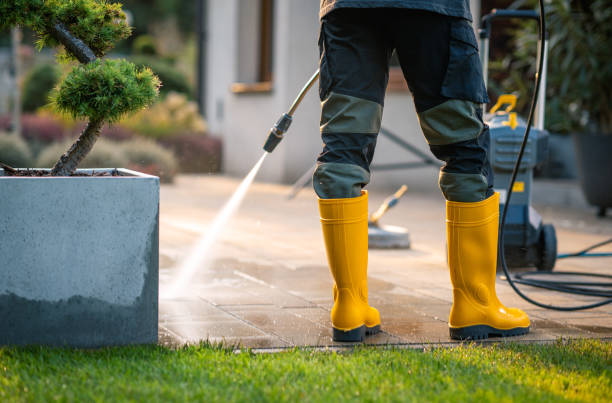 Best Power Washing Near Me  in Lakeland Village, CA